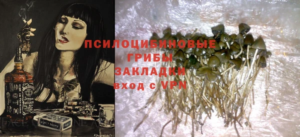 ECSTASY Медногорск