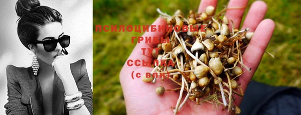 крисы Михайлов