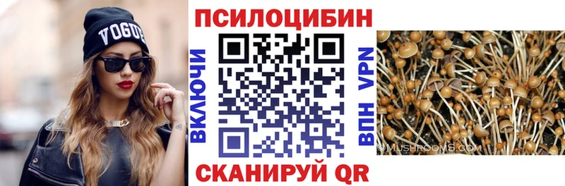 Псилоцибиновые грибы Psilocybine cubensis  где купить   Суздаль 